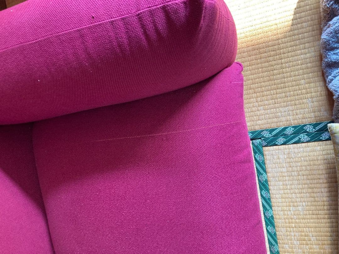 アルフレックス マレンコ 2人掛けソファ