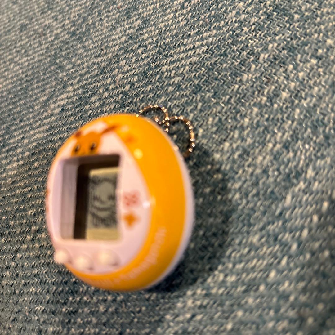 超レア！イーブイたまごっち