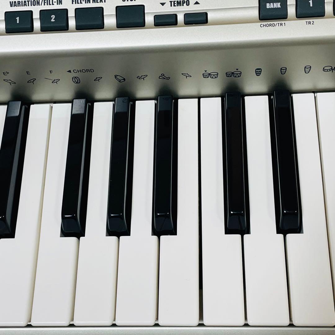 【生産終了】CASIO カシオ CTK-900 電子キーボード