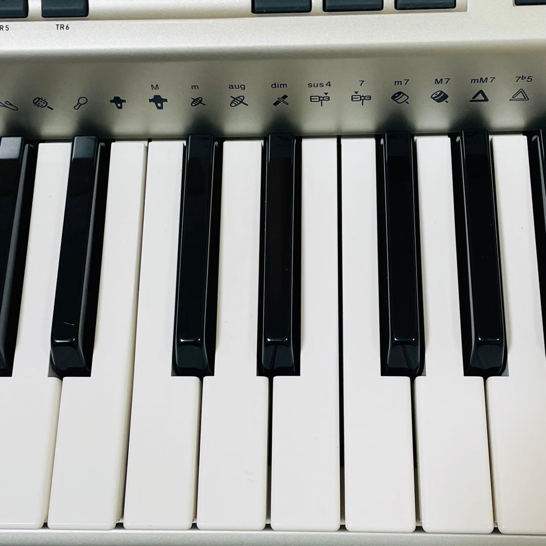 【生産終了】CASIO カシオ CTK-900 電子キーボード