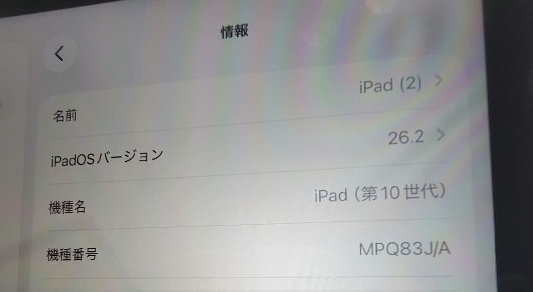 ど*り様 Apple iPad 第10世代　256GB シルバー　ケース（おまけ