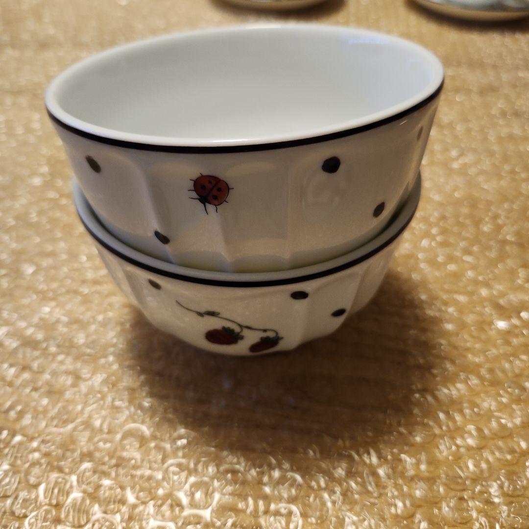 Richard Ginori　リチャードジノリ　てんとう虫＆野いちご食器セット