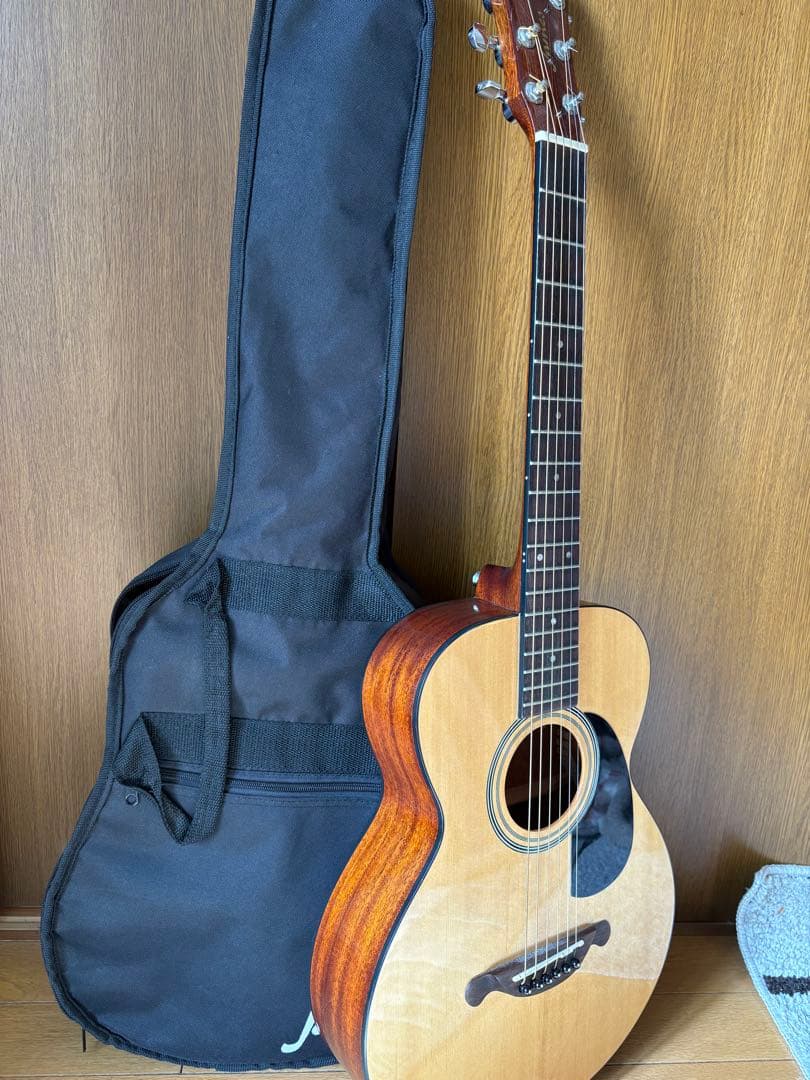 James アコースティックギター JEM-1N ギターケース付き