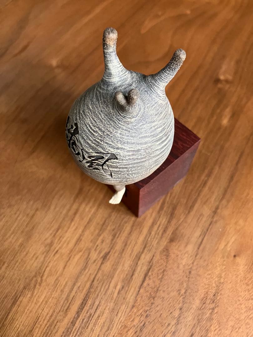 その他 CaudexMan Pachypodium Gracilius Type B