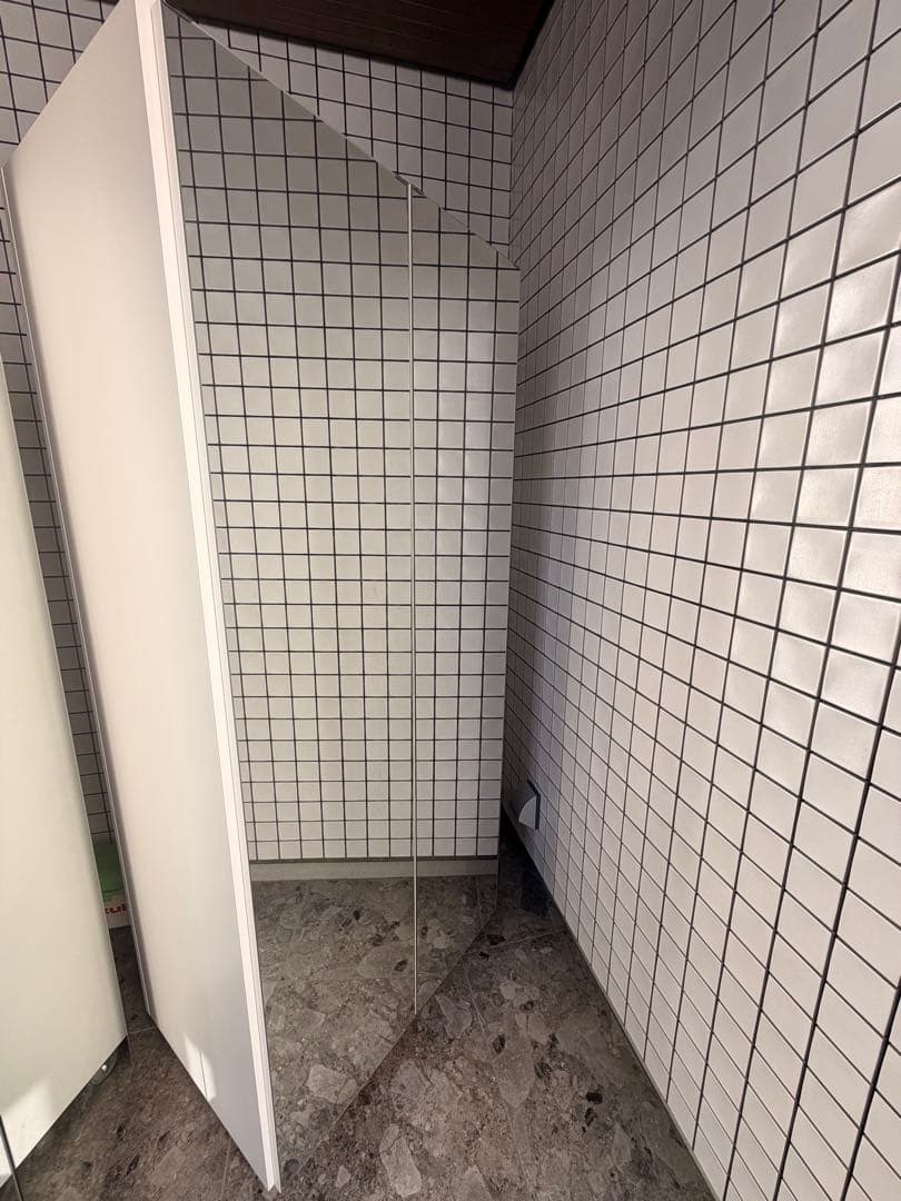 dinos 移動式間仕切りクローゼットハンガー ミラー扉タイプ・ハンガー1段