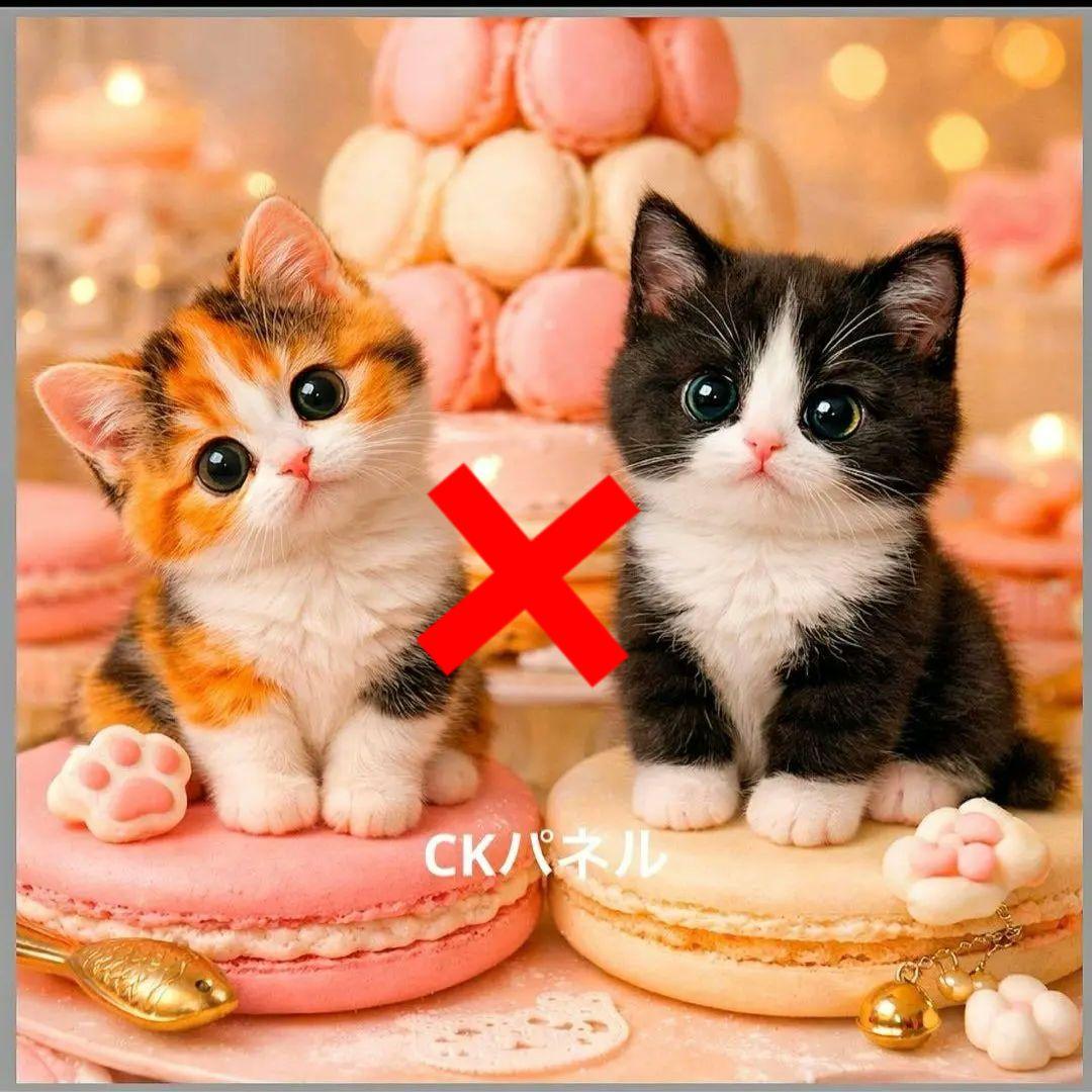 激レアマカロンにゃんこパネル生地　ハンドメイド