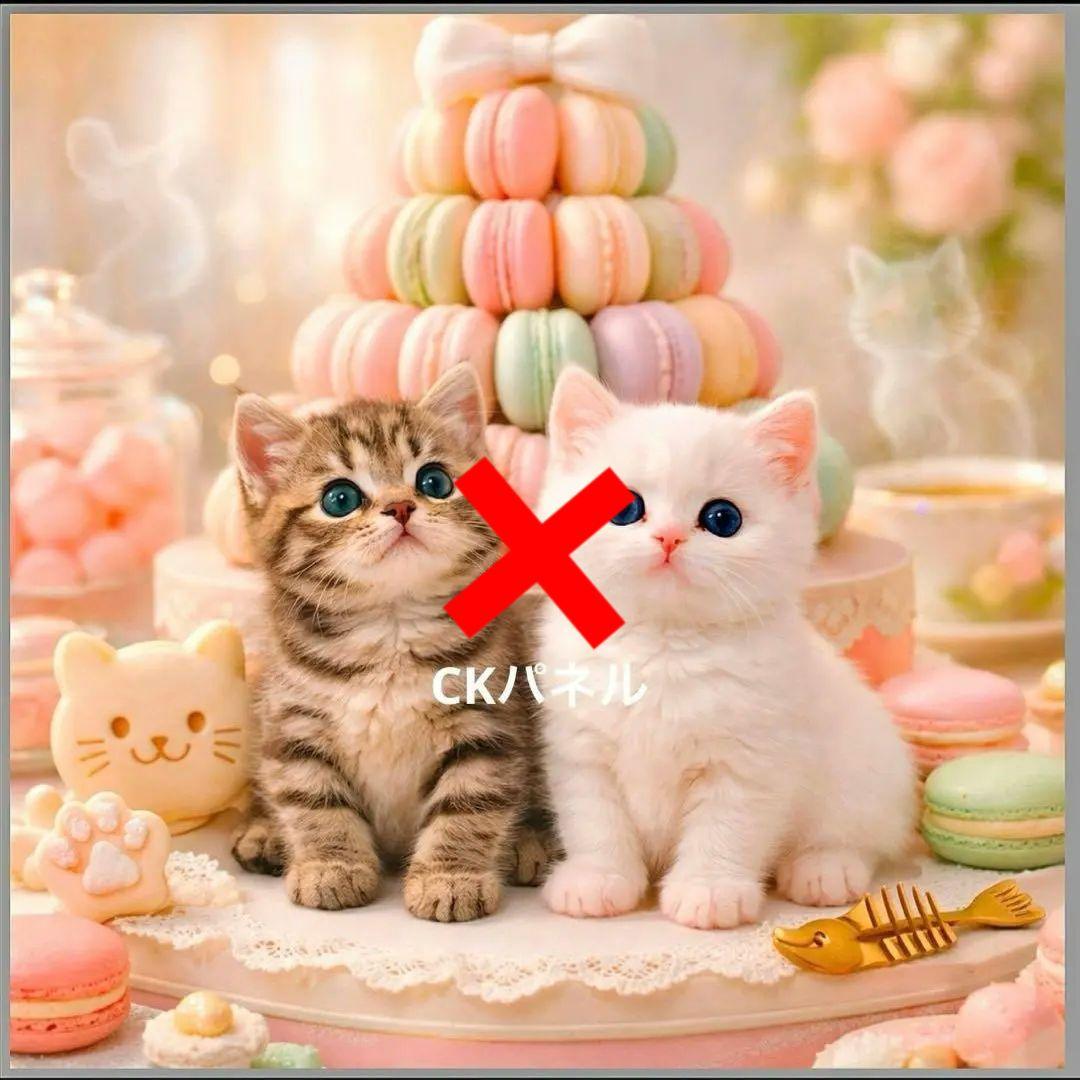 激レアマカロンにゃんこパネル生地　ハンドメイド