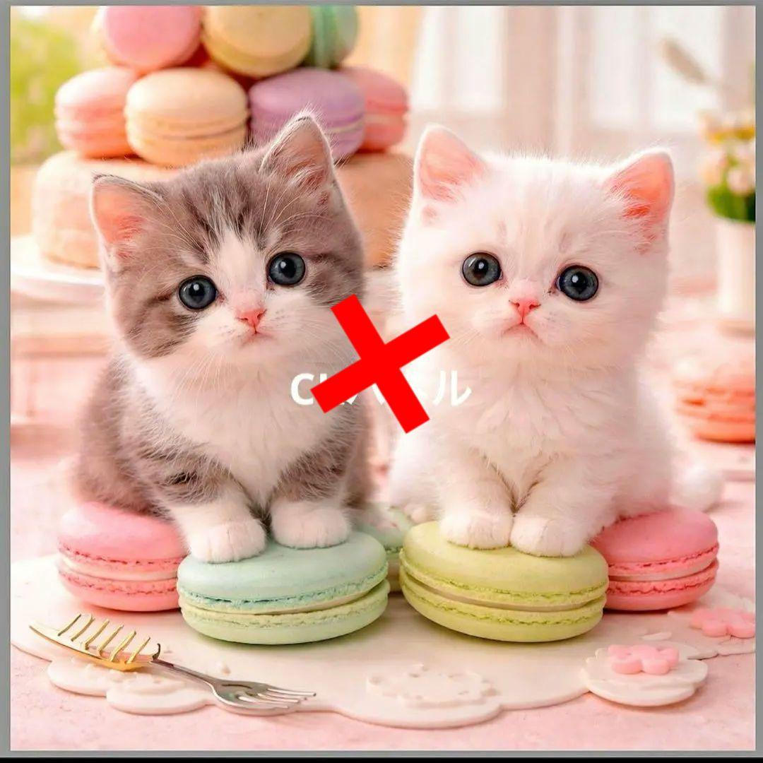 激レアマカロンにゃんこパネル生地　ハンドメイド