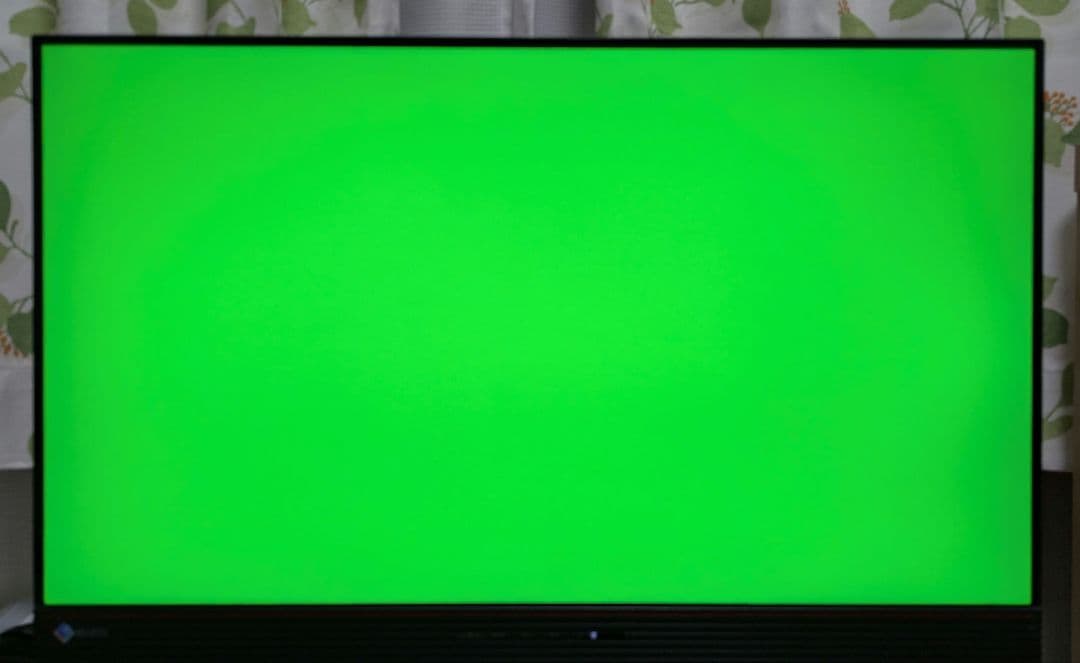 EIZO FORIS FS2434 23.8インチ フルHDモニター