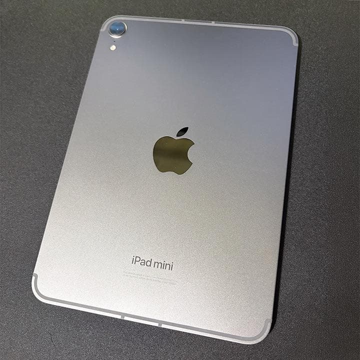 iPad mini Wi‑Fi + Cellularモデル 256GB グレイ