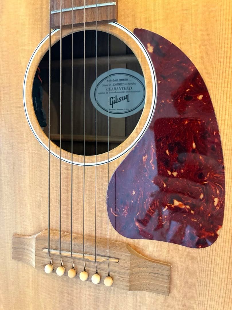 Gibson ギブソン G-45 アコースティックギター　アコギ　エレアコ