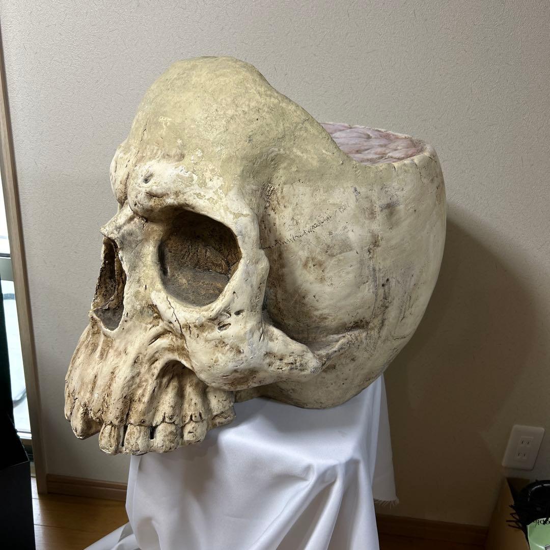 レア巨大スカルデザインのインテリア置物