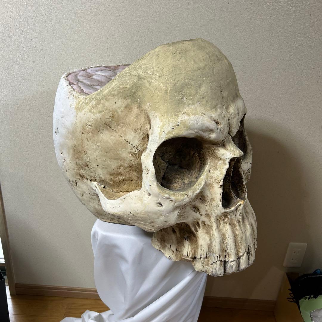 レア巨大スカルデザインのインテリア置物