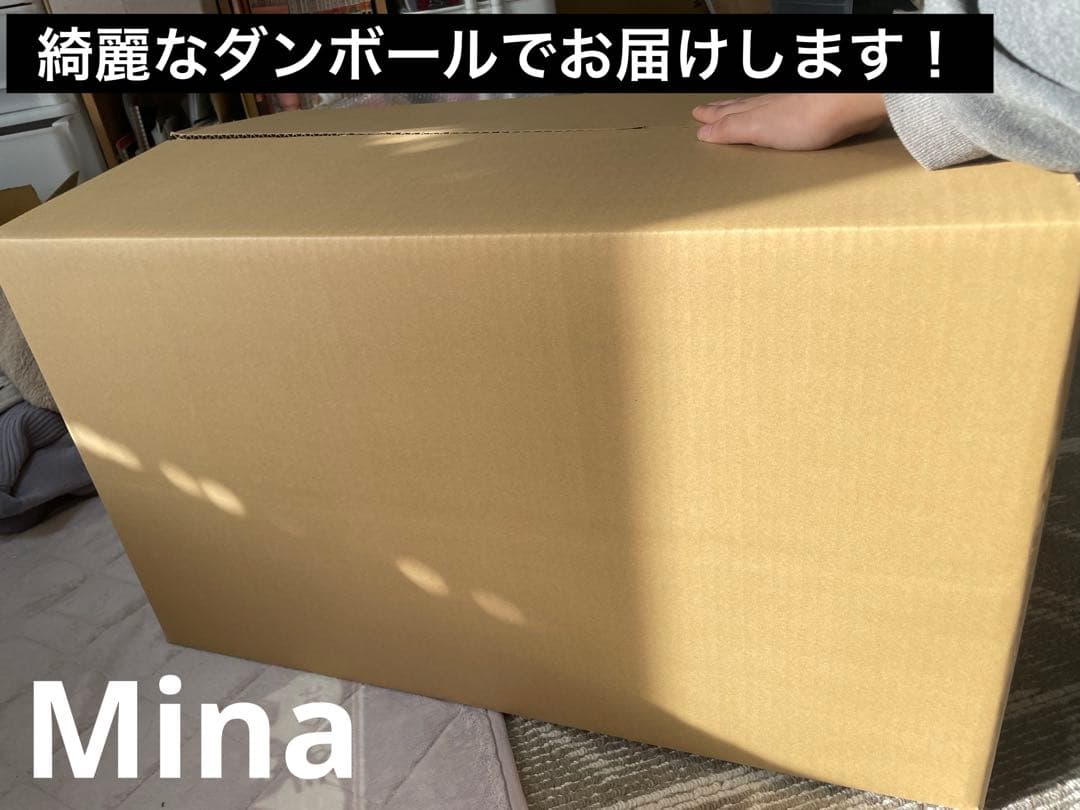 PG UNLEASHED 1/60 νガンダム