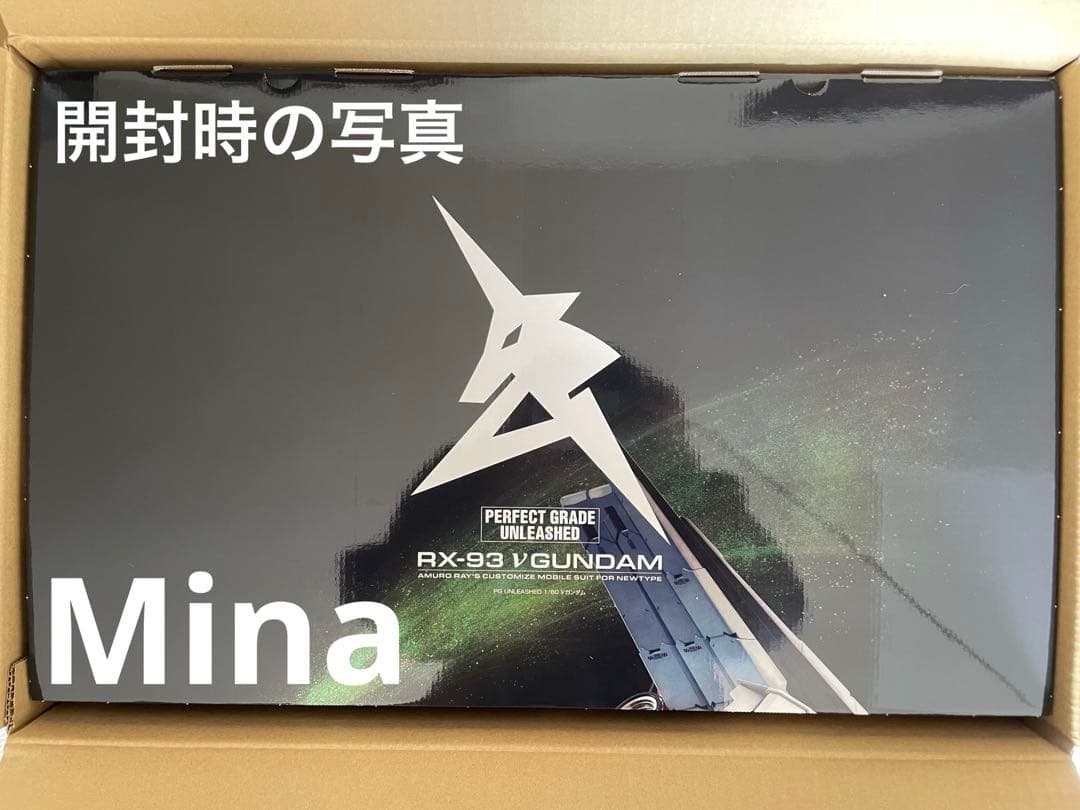 PG UNLEASHED 1/60 νガンダム