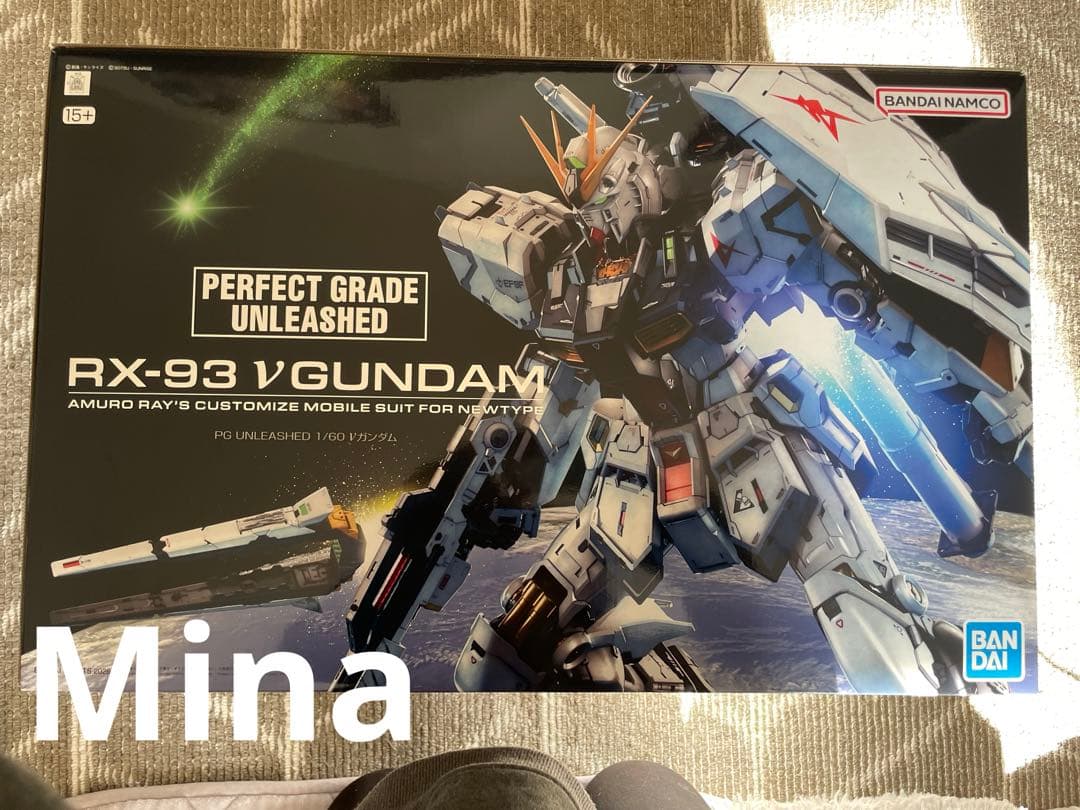 PG UNLEASHED 1/60 νガンダム