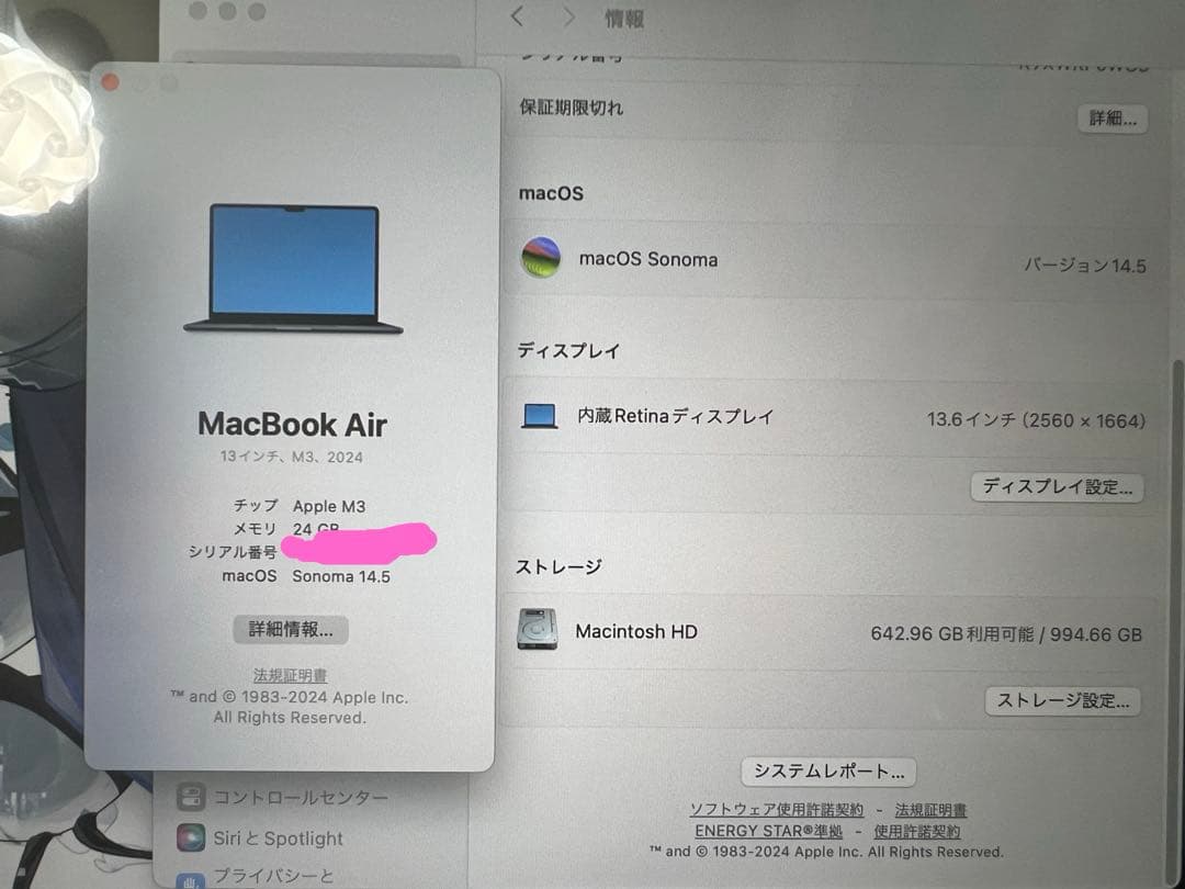 Apple MacBook Air 13インチ 1TB 24GB US配列