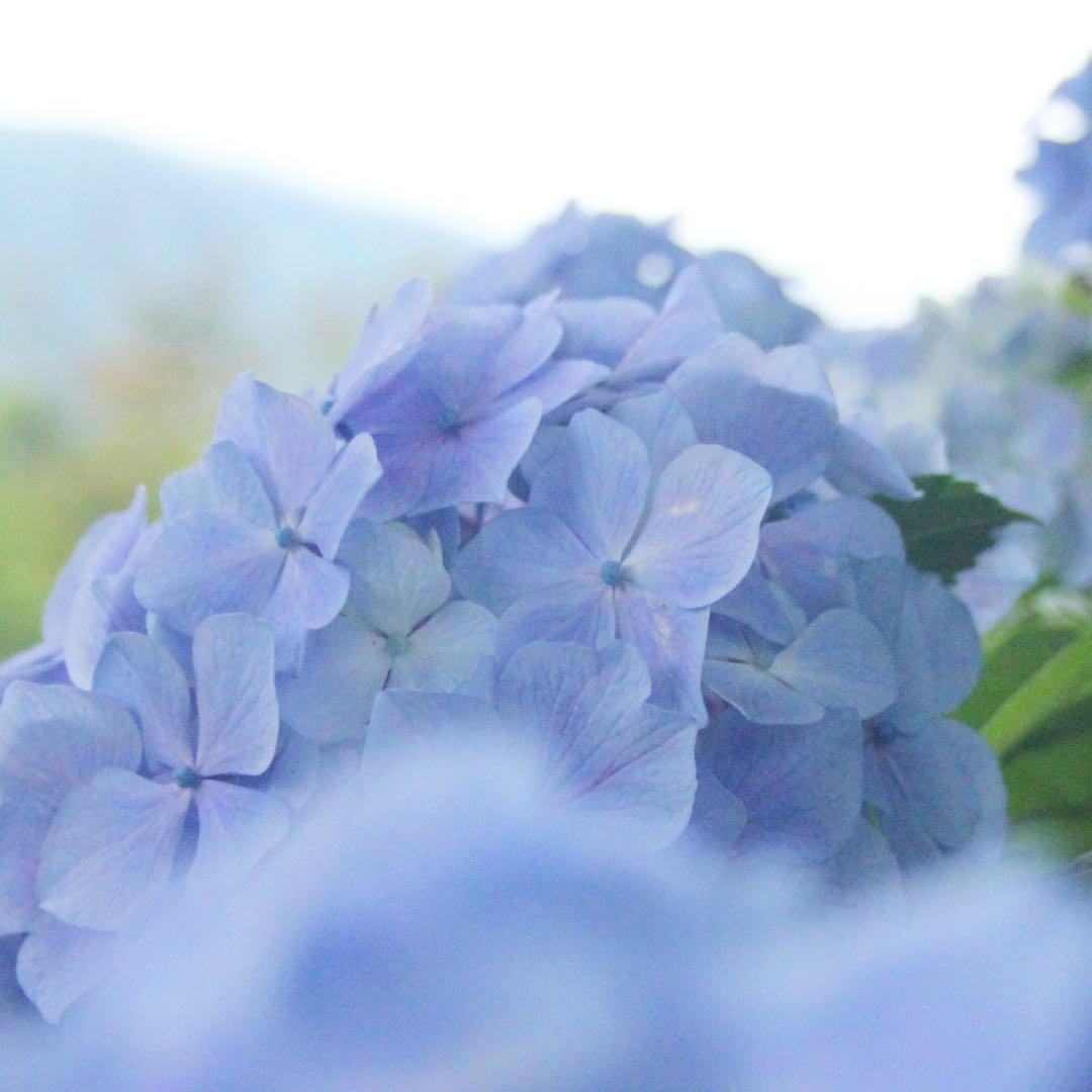 Canon EOS KISS X4 スマホへ転送ok