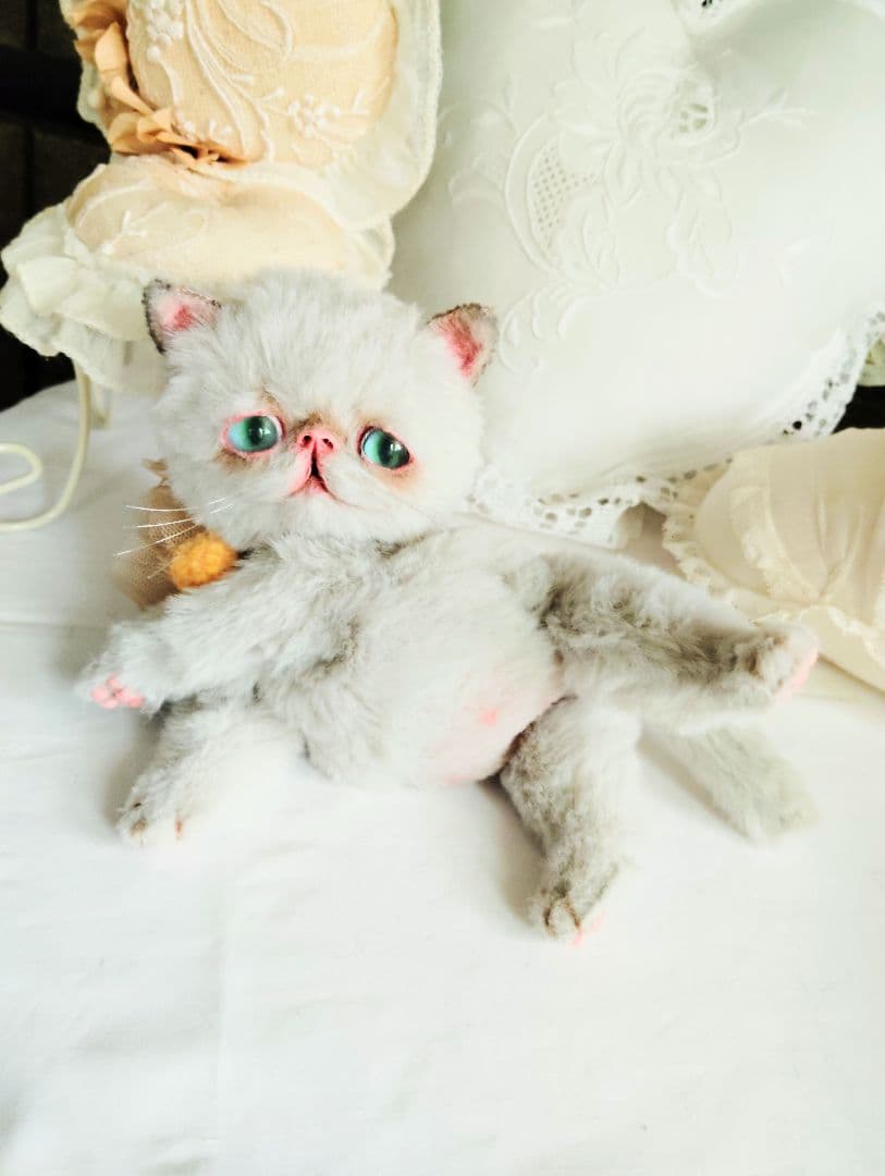 家族募集❤まん丸可愛い子猫ちゃん♡アートドール♡ぬいぐるみ♡