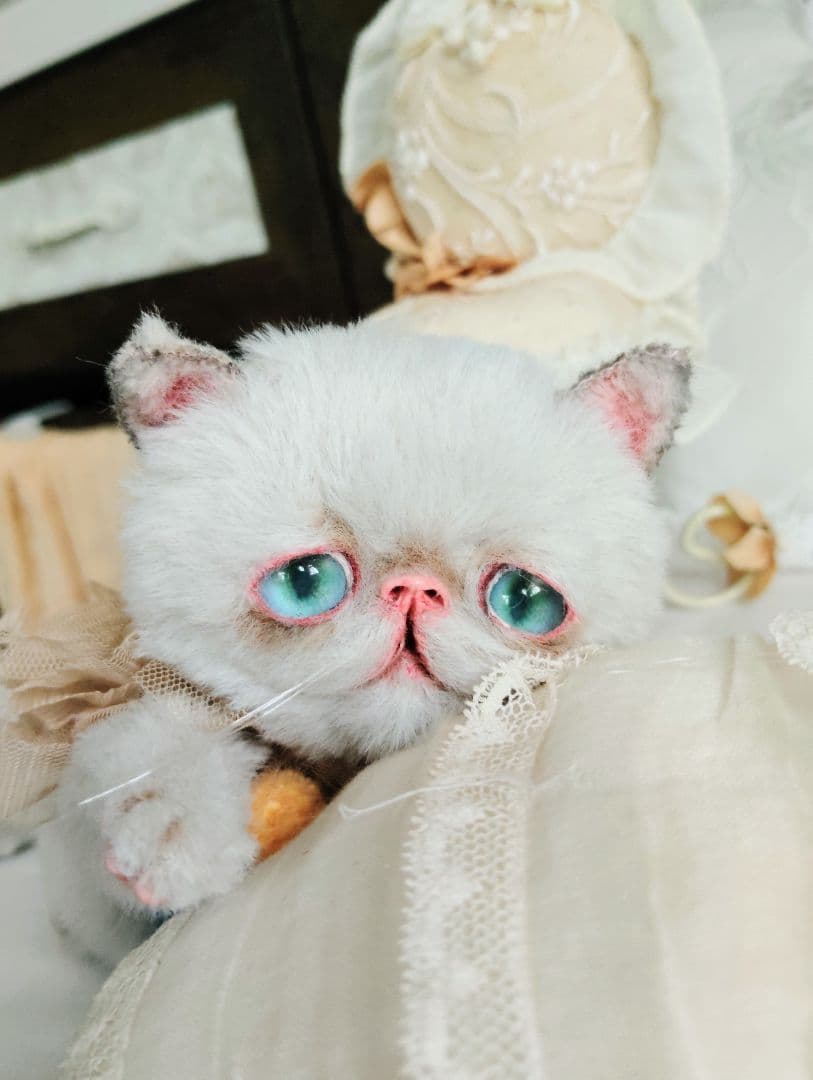 家族募集❤まん丸可愛い子猫ちゃん♡アートドール♡ぬいぐるみ♡