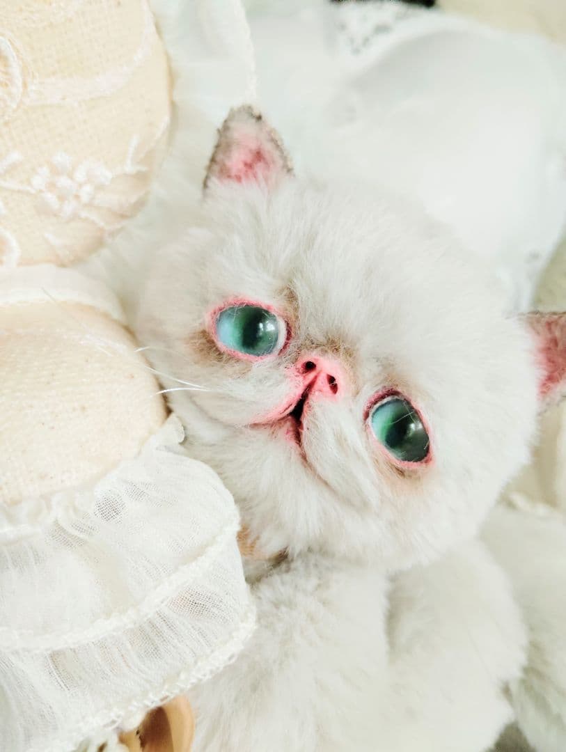 家族募集❤まん丸可愛い子猫ちゃん♡アートドール♡ぬいぐるみ♡