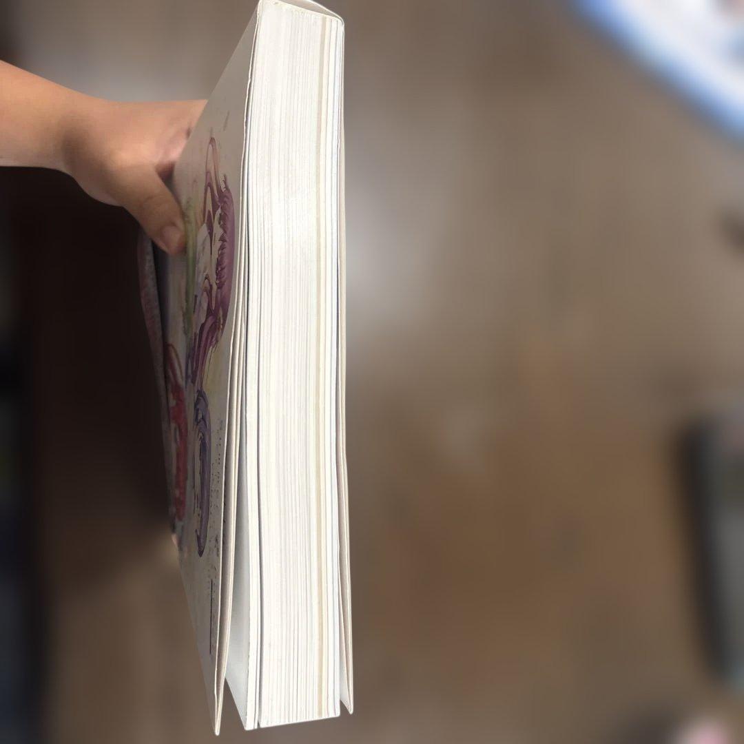 セル画 summer pockts reflection book