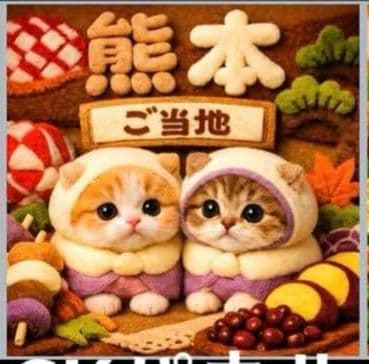 ご確認用　ぽよよん　ハンカチ　ねこちゃん様2/6
