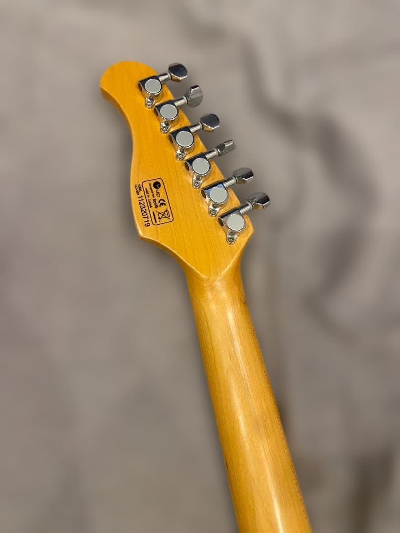 ギター Elioth S305