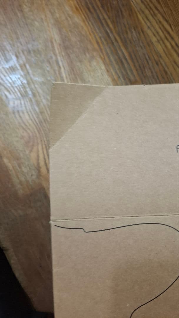 復元ドライヤーMINI 保証書なし　正規品