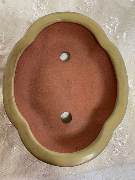 壱興　もっこ　盆栽鉢