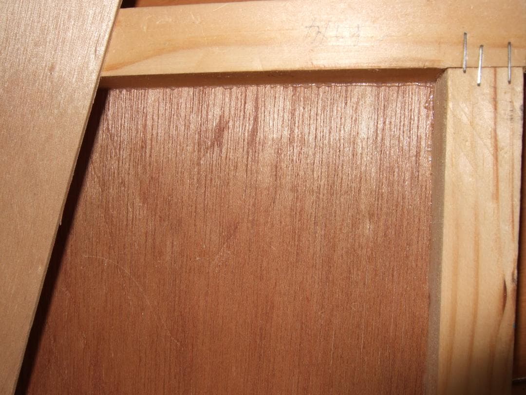 金丸悠児　肉筆　真蹟保証　8号S カメレオン　ミックスメディア ￼