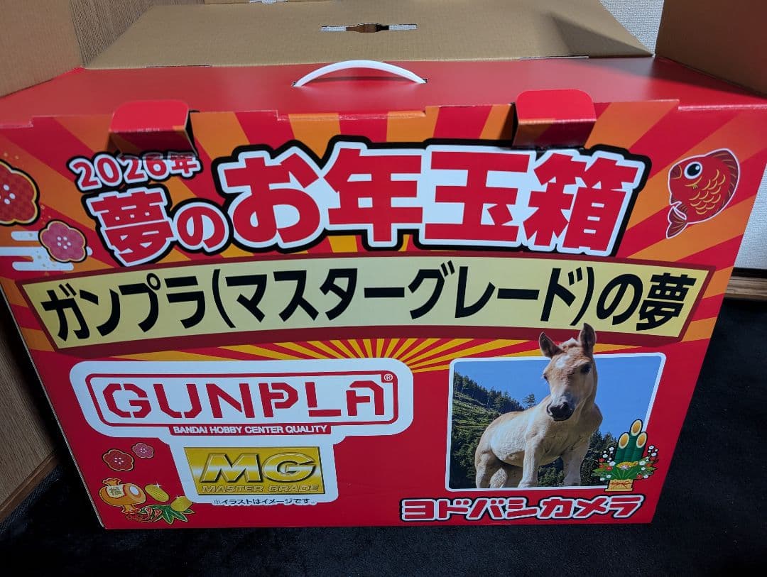ヨドバシカメラ 福袋 ガンプラ マスターグレード MG 夢のお年玉袋 ガンダム
