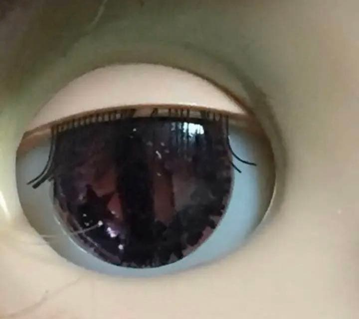 ✳︎ブライス✳︎アイチップ✳︎スパイダーB✳︎脚なし✳︎B9✳︎