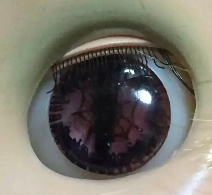 ✳︎ブライス✳︎アイチップ✳︎スパイダーB✳︎脚なし✳︎B9✳︎