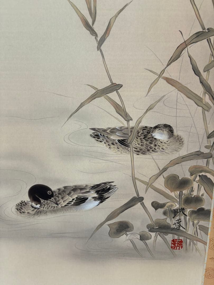 掛け軸、日本画、鴨、共箱、寺島映春作、尺五立