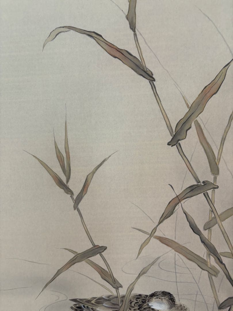 掛け軸、日本画、鴨、共箱、寺島映春作、尺五立