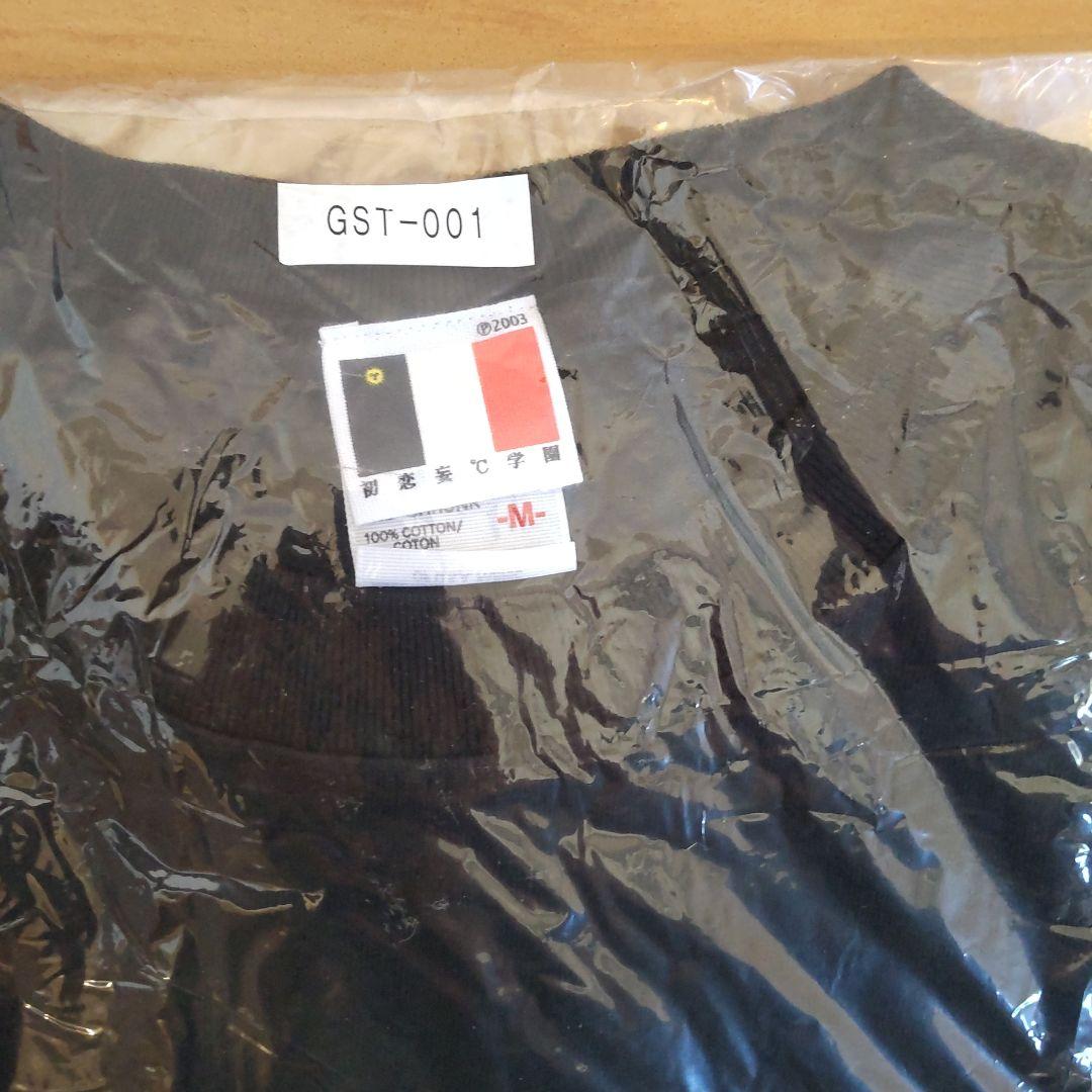 GOING STEADY Tシャツ Mサイズ