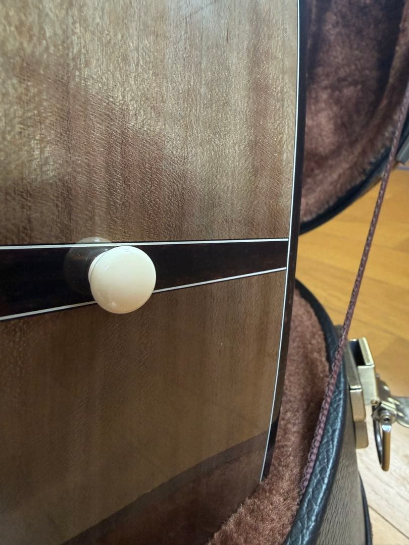 head way 2025夏 流星 桜ギター