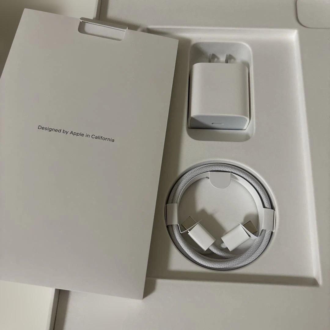 iPad Pro 11インチ (第4世代)128GB 本体