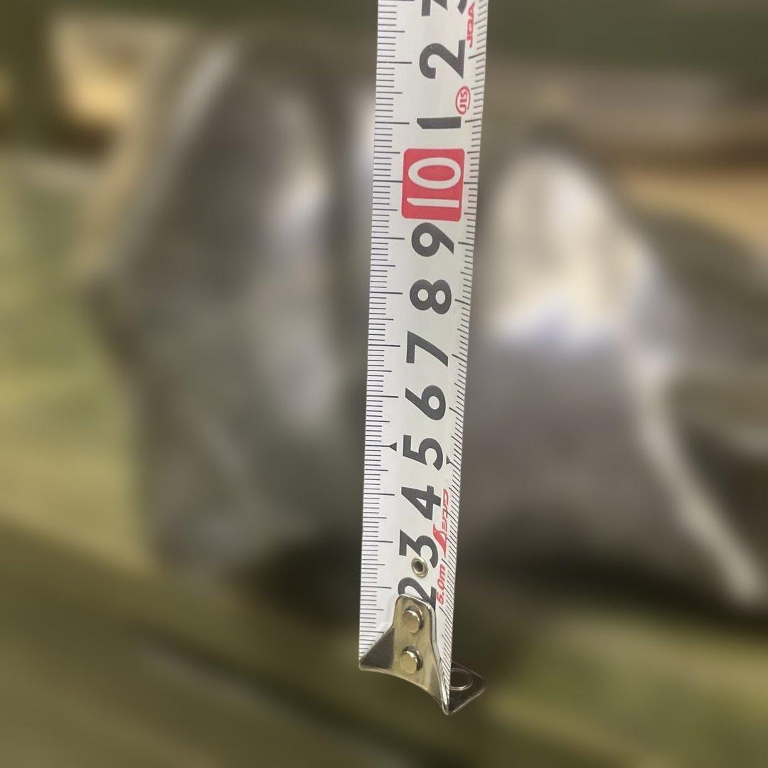 蛇紋石　蛇石　鑑賞石　ダークグリーン天然石 ガーデニング用装飾石　自宅保管品