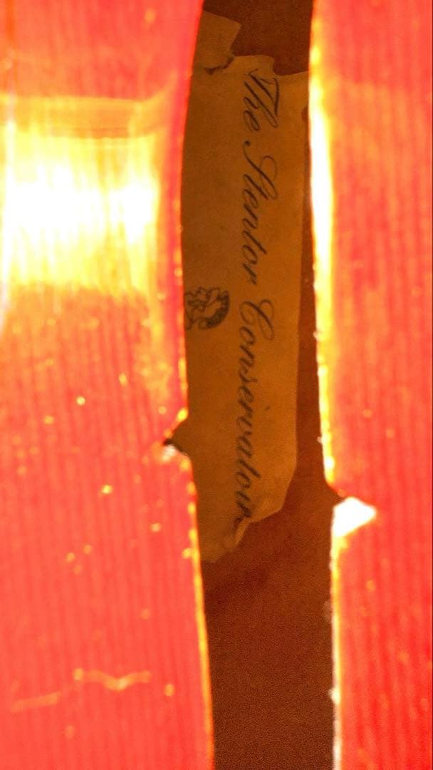 バイオリン本体4/4サイズ　STENTOR Conservatoire