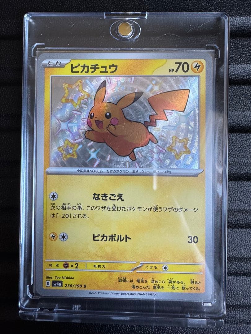 瑠*す様 【即落ok】　ピカチュウ　ライチュウ　s 色違いセット