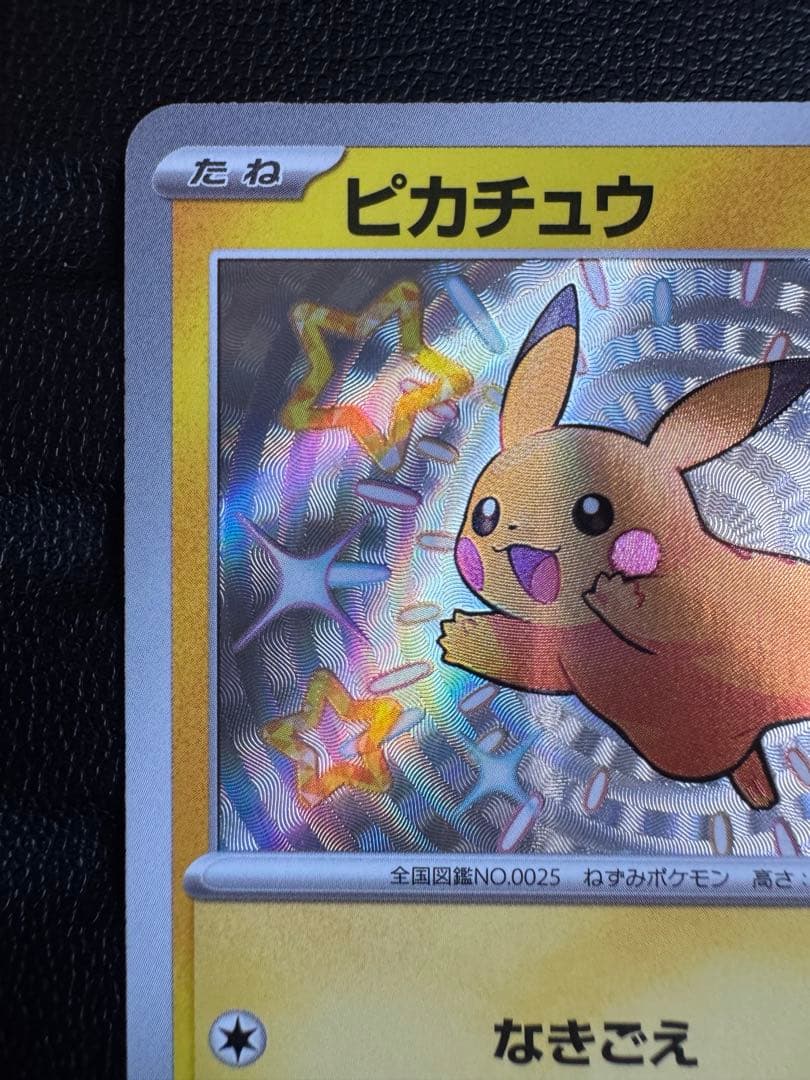 瑠*す様 【即落ok】　ピカチュウ　ライチュウ　s 色違いセット