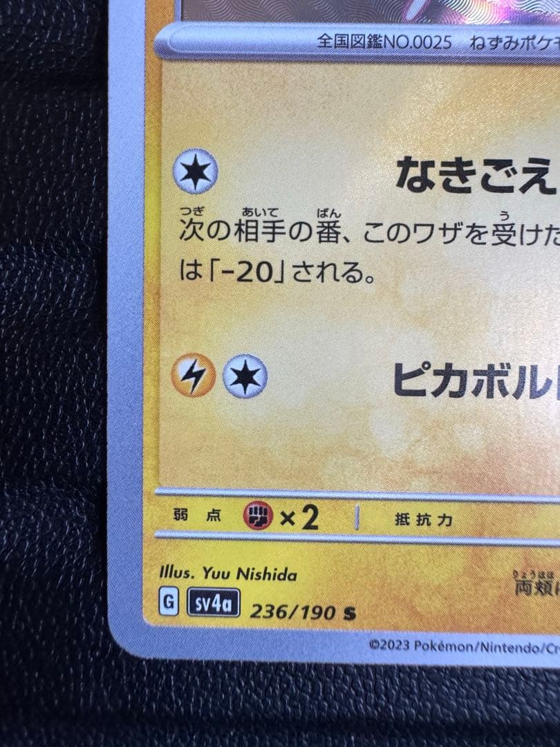 瑠*す様 【即落ok】　ピカチュウ　ライチュウ　s 色違いセット