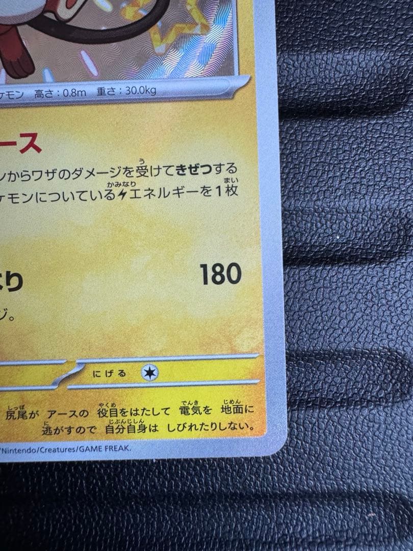 瑠*す様 【即落ok】　ピカチュウ　ライチュウ　s 色違いセット