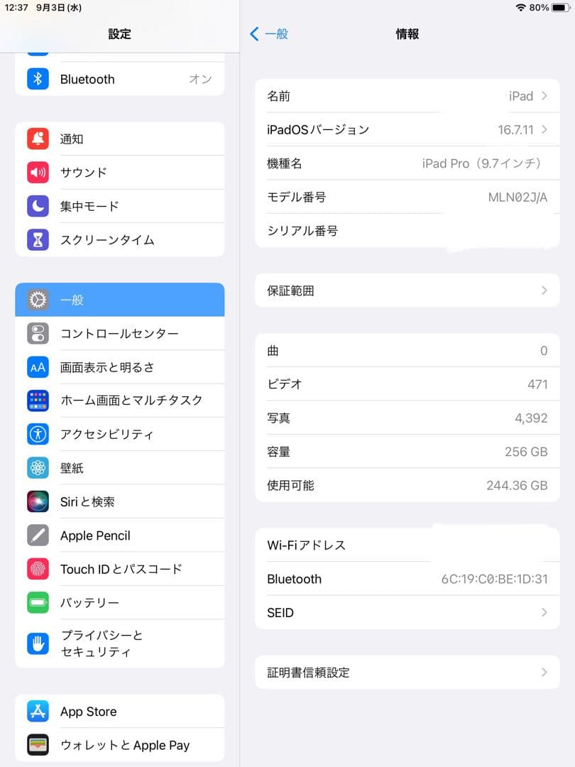 256GB iPad Pro 9.7インチA1673wi-fi バッテリー98%