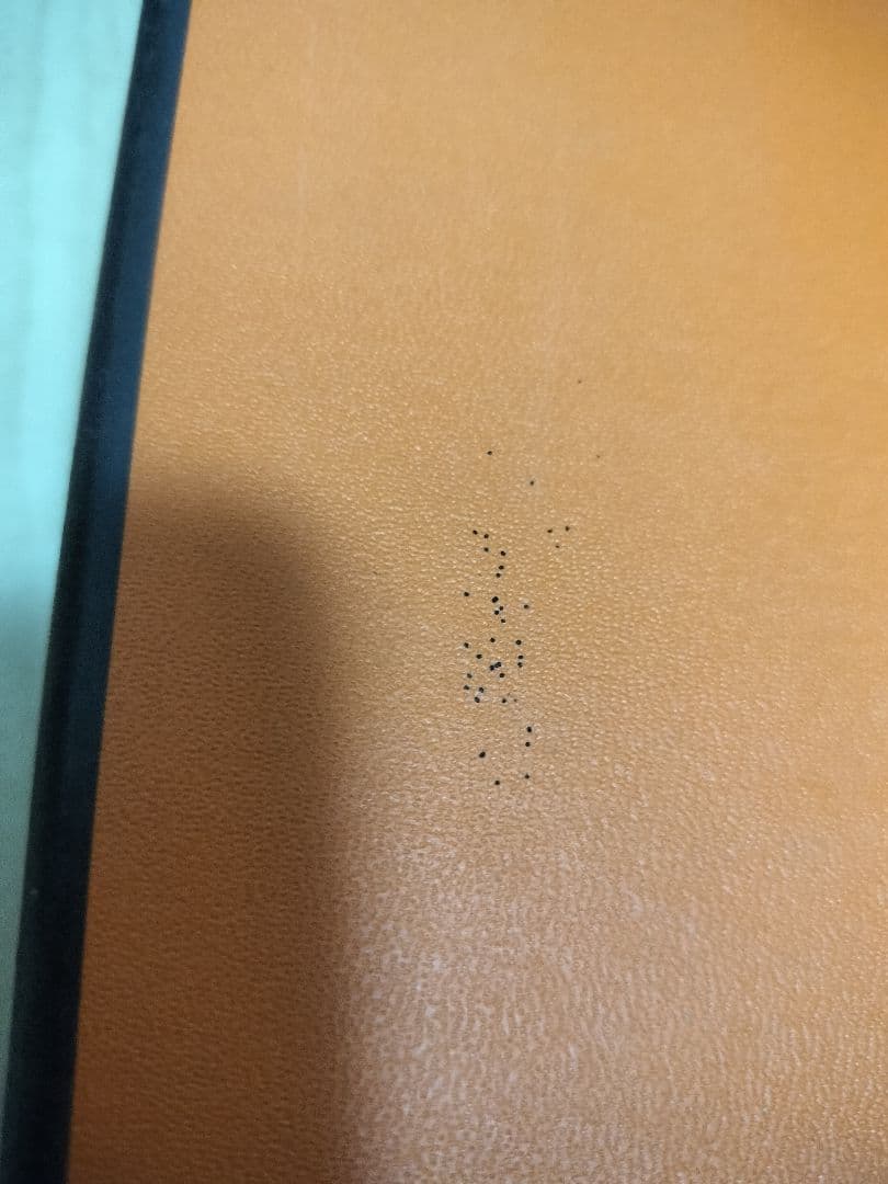 【新品未使用】箱付き　エルメス　シェーヌダンクル　皿