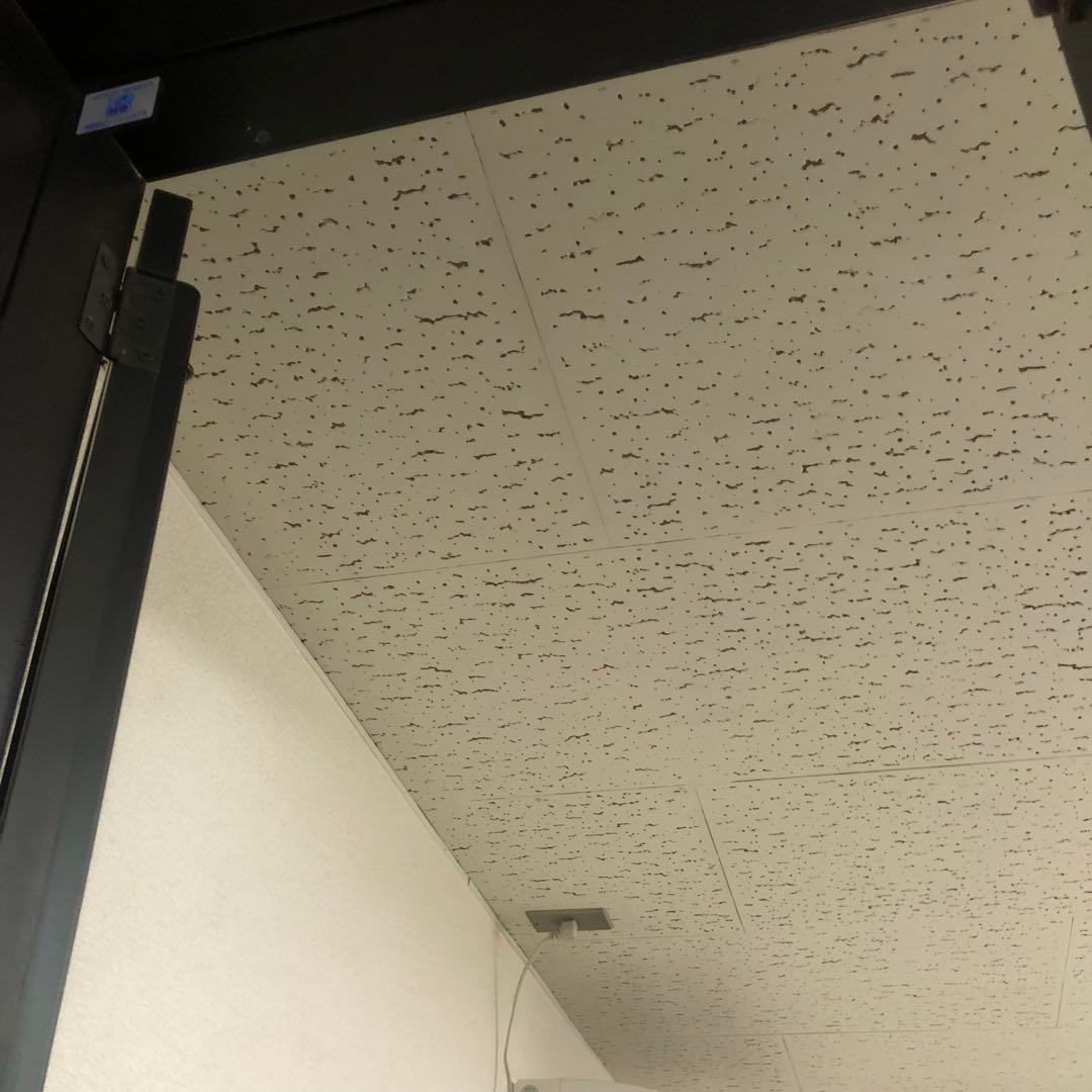 東京インテリア 塩川光明堂 ドアミラー IF-NプエルタS-450