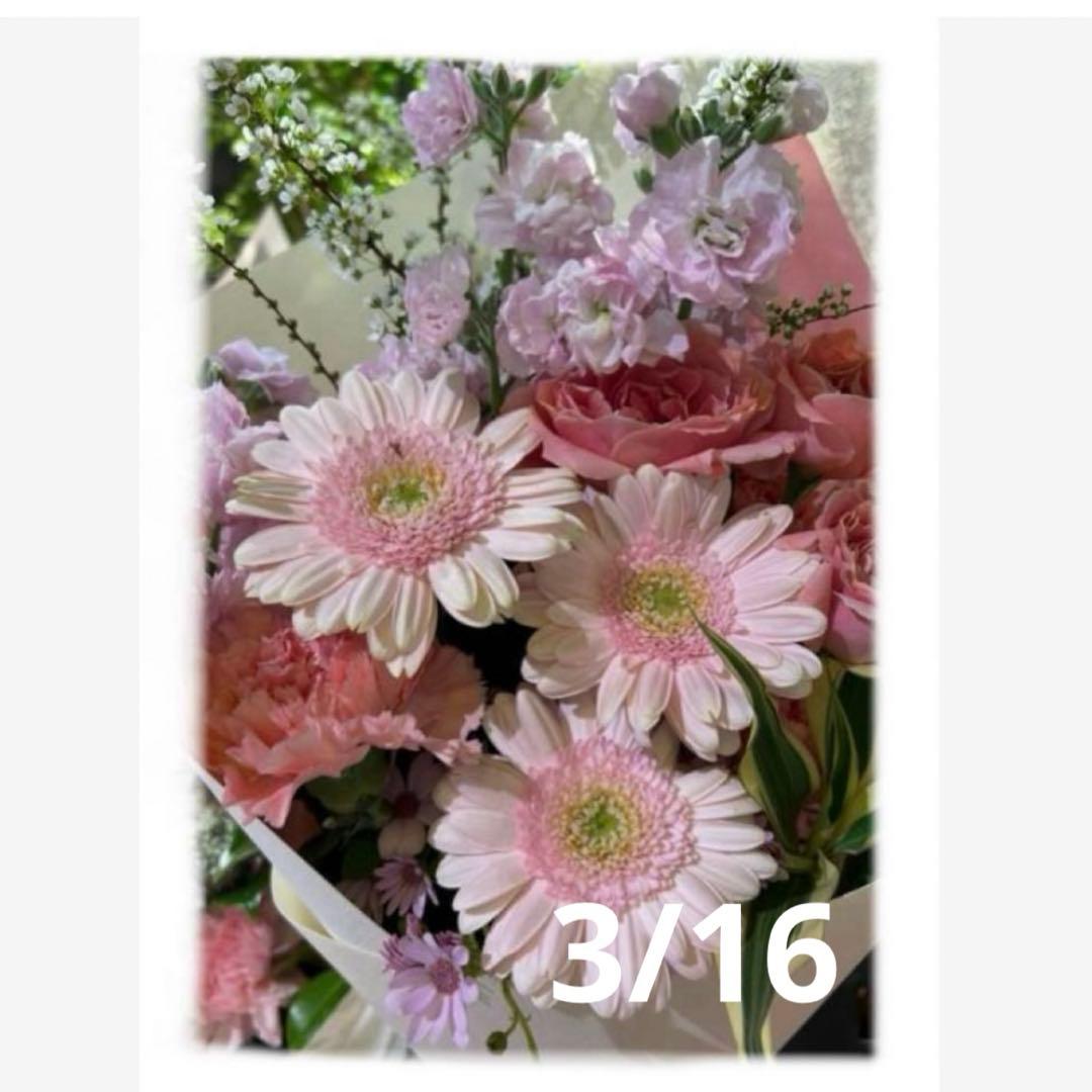 ちっちざる様　おまとめ