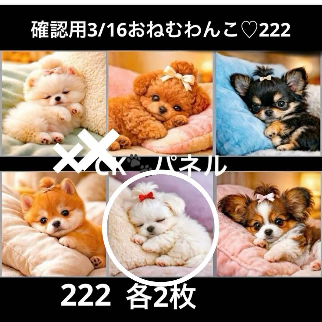 ちっちざる様　おまとめ